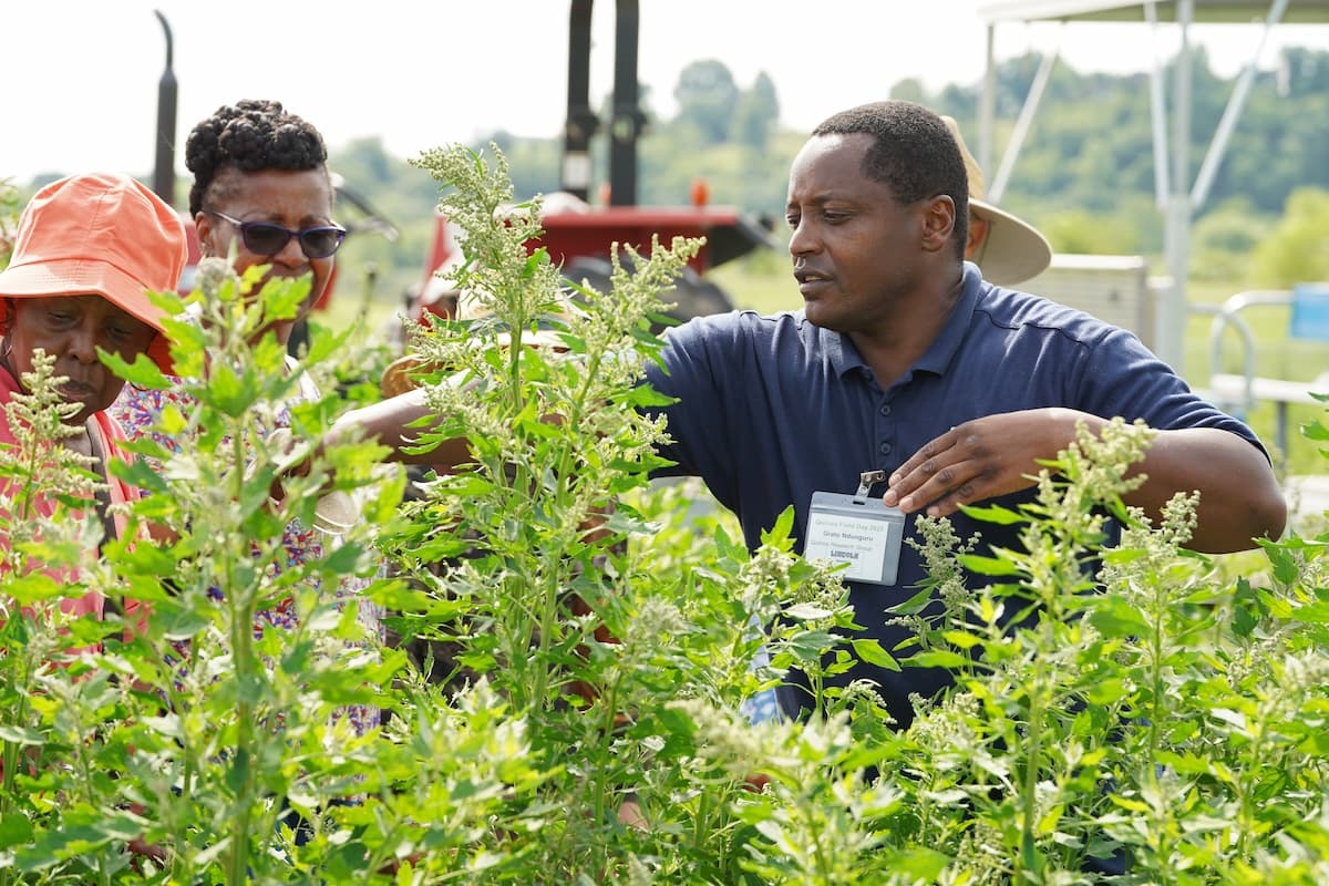 A man points something out to people standing in a field of quinoa