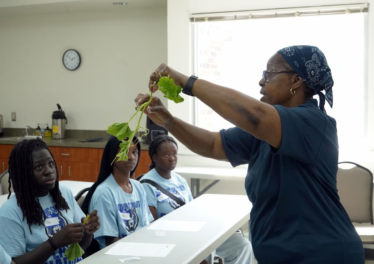 Woman holds up two vines with leaves in front of three teenagers.