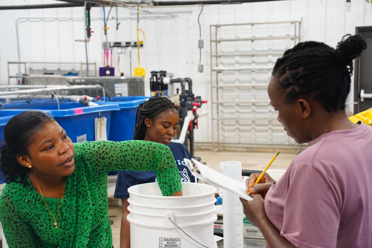 Three young women take measurements of rainbow trout on a table.