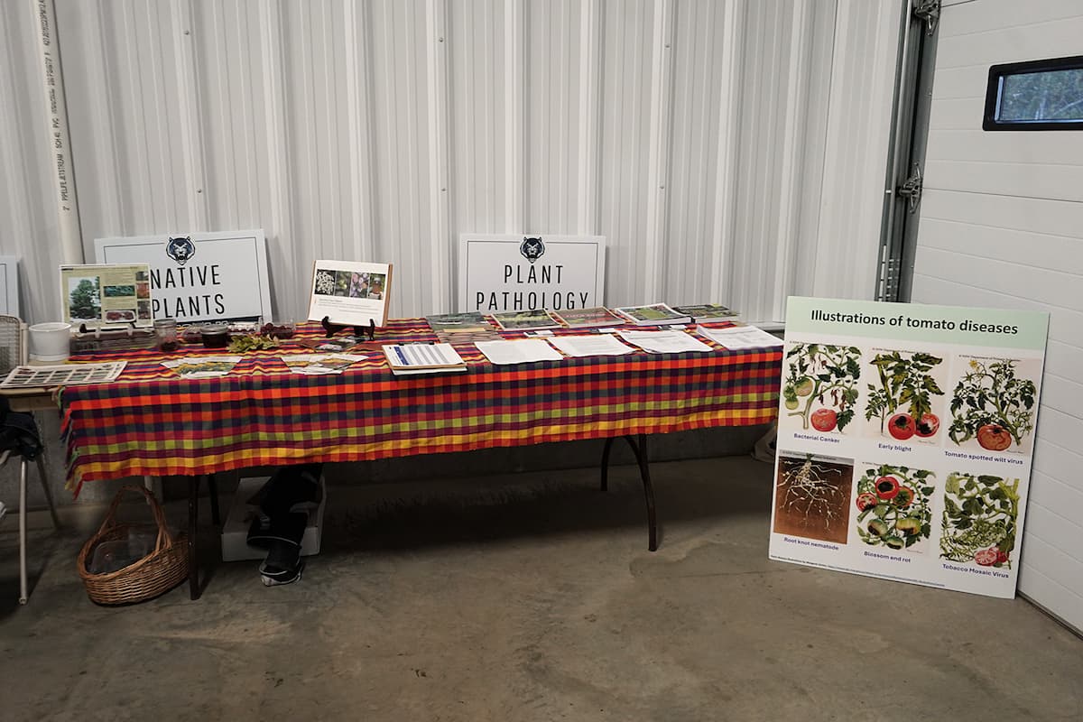 A table with a red and yellow checkered tablecloth, littered with pamphlets and papers.