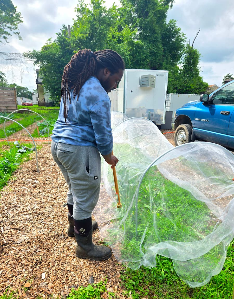 Farmer Eric Williams, who works with Mary Keeter through ISFOP, uses a magnetic staple setter to secure an insect net without needing to bend down.