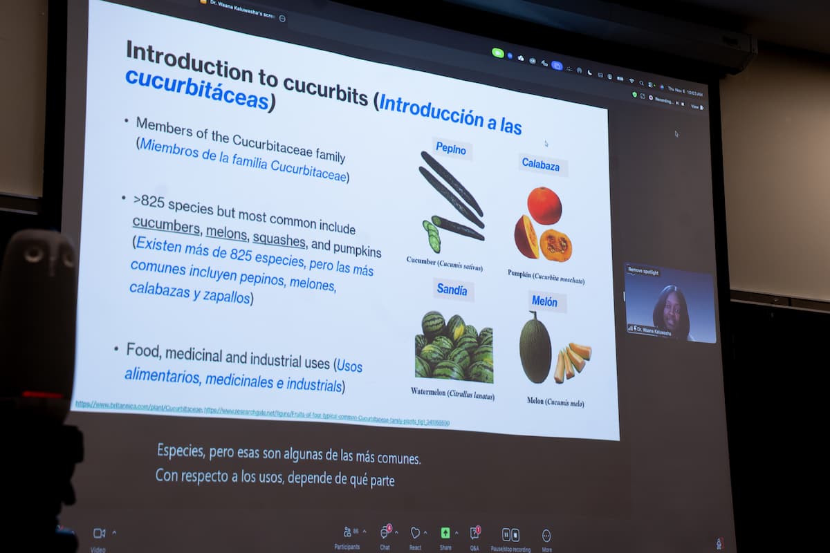 A computer screen showing different fruits.