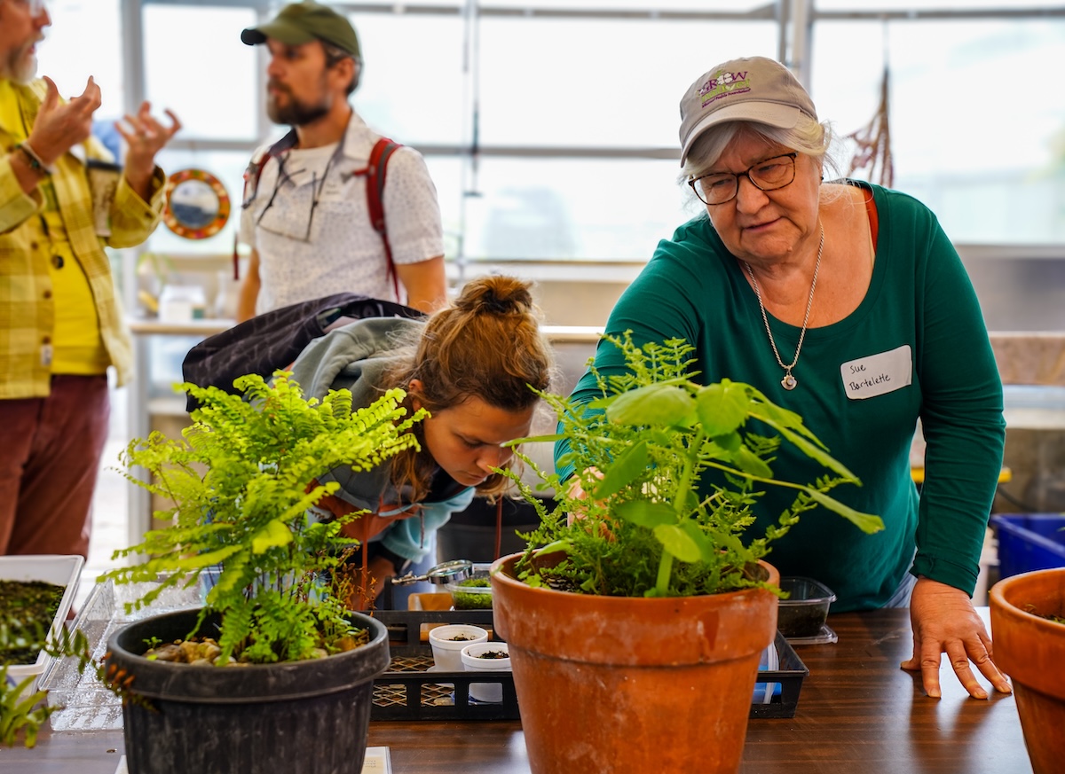 Landscape designer and educator Sue Bartelette inspects ferns with an attendee at a Lincoln University Cooperative Extension workshop on May 2. 