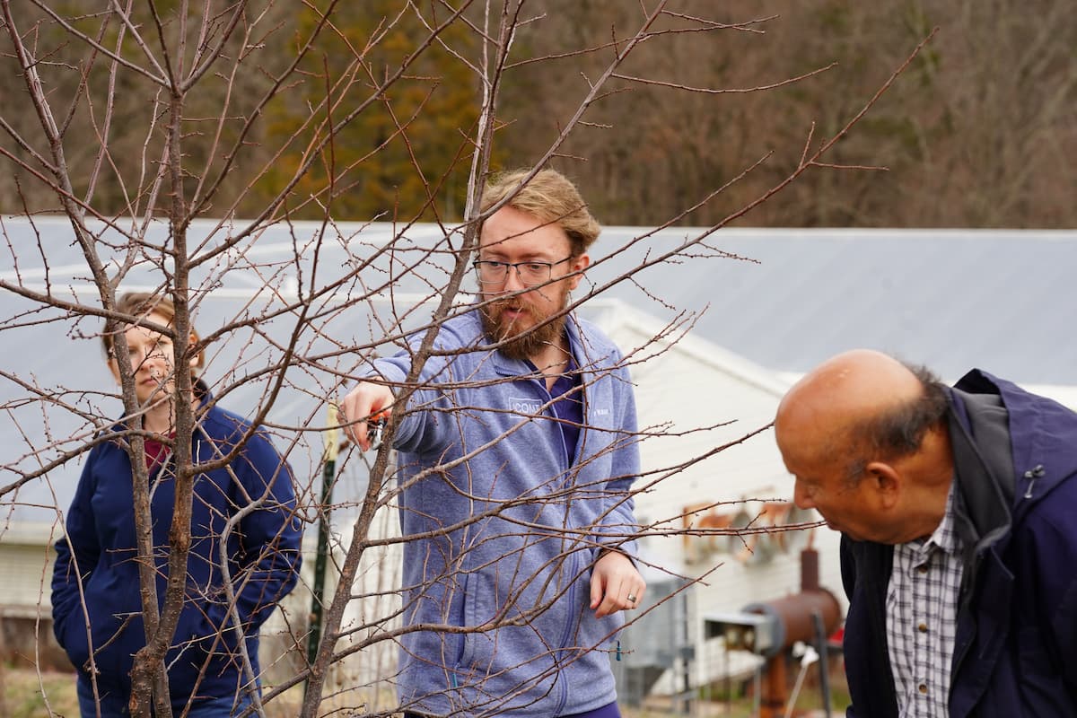 A workshop participant kneels beside a leafless fruit tree and makes a pruning cut with a handheld tool while others stand nearby watching and discussing the tree’s branches.