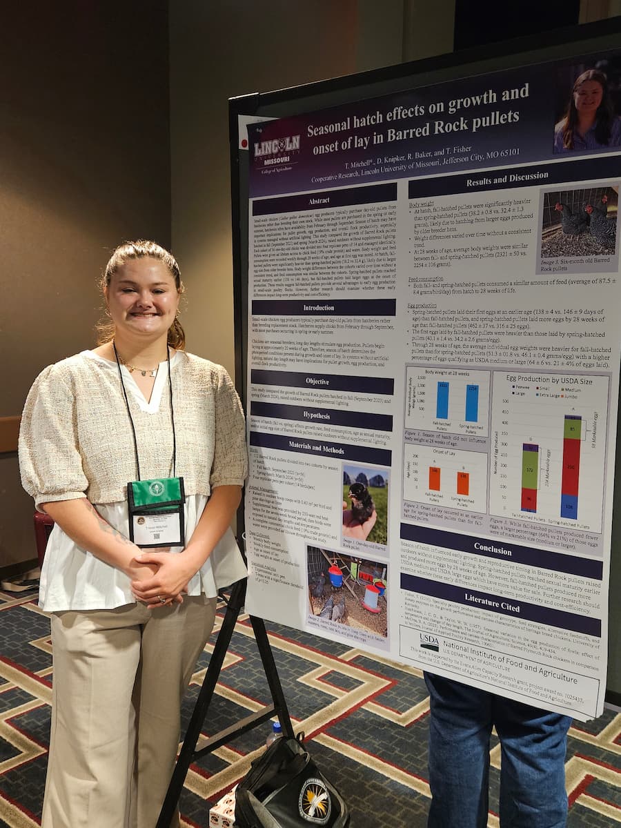 A person standing in front of a scientific research poster titled “Seasonal hatch effects on growth and onset of lay in Barred Rock pullets.”