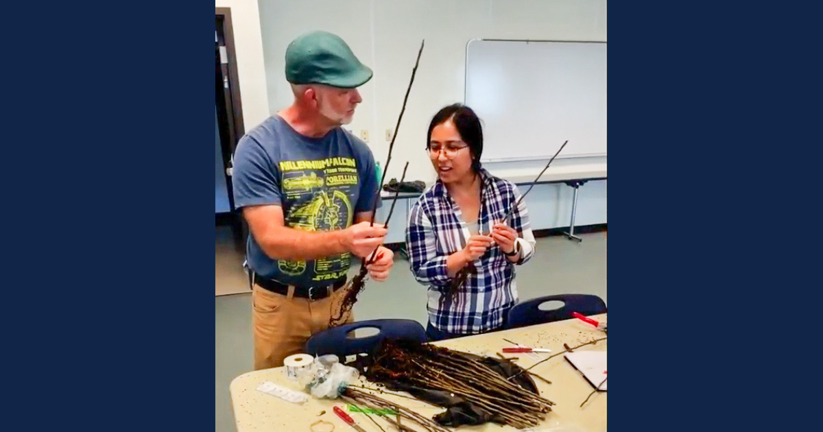 Two people standing at a table covered with plant cuttings, gardening tools, and supplies, engaged in a hands-on activity involving plant grafting.
