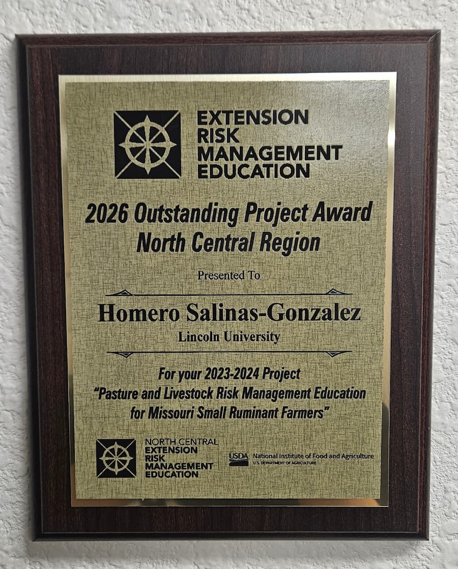 A wooden and metallic award plaque.