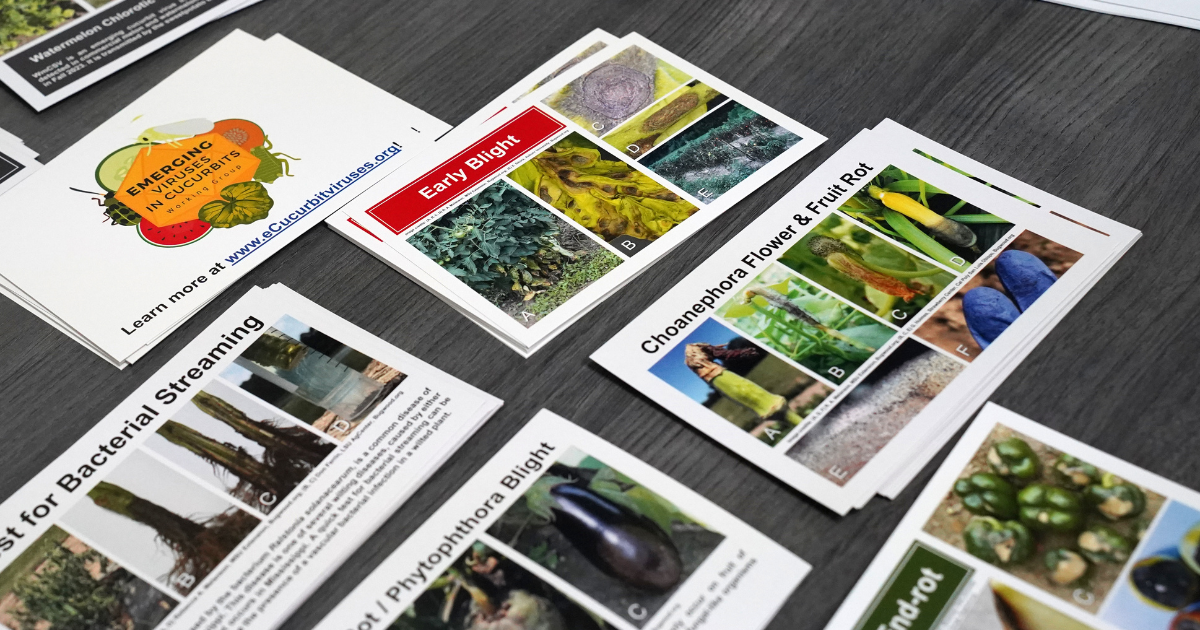 Several fact sheets and information cards lie on a table.