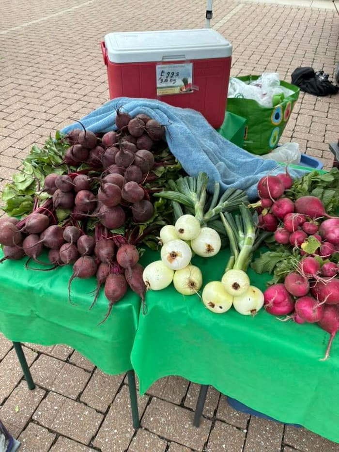 A market stall displaying fresh vegetables on a green tablecloth, including bunches of beets, white onions, and radishes. 