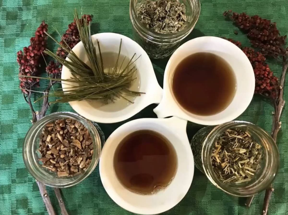 Cups of tea surrounded by jars of dried plant materials, pine needles and red sumac berries on a green cloth.