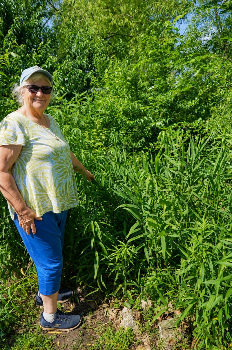 Sue Bartelette stands among tall green plants in the rain garden area at LU’s Native and Specialty Crops Program farm, known as the Finca.
