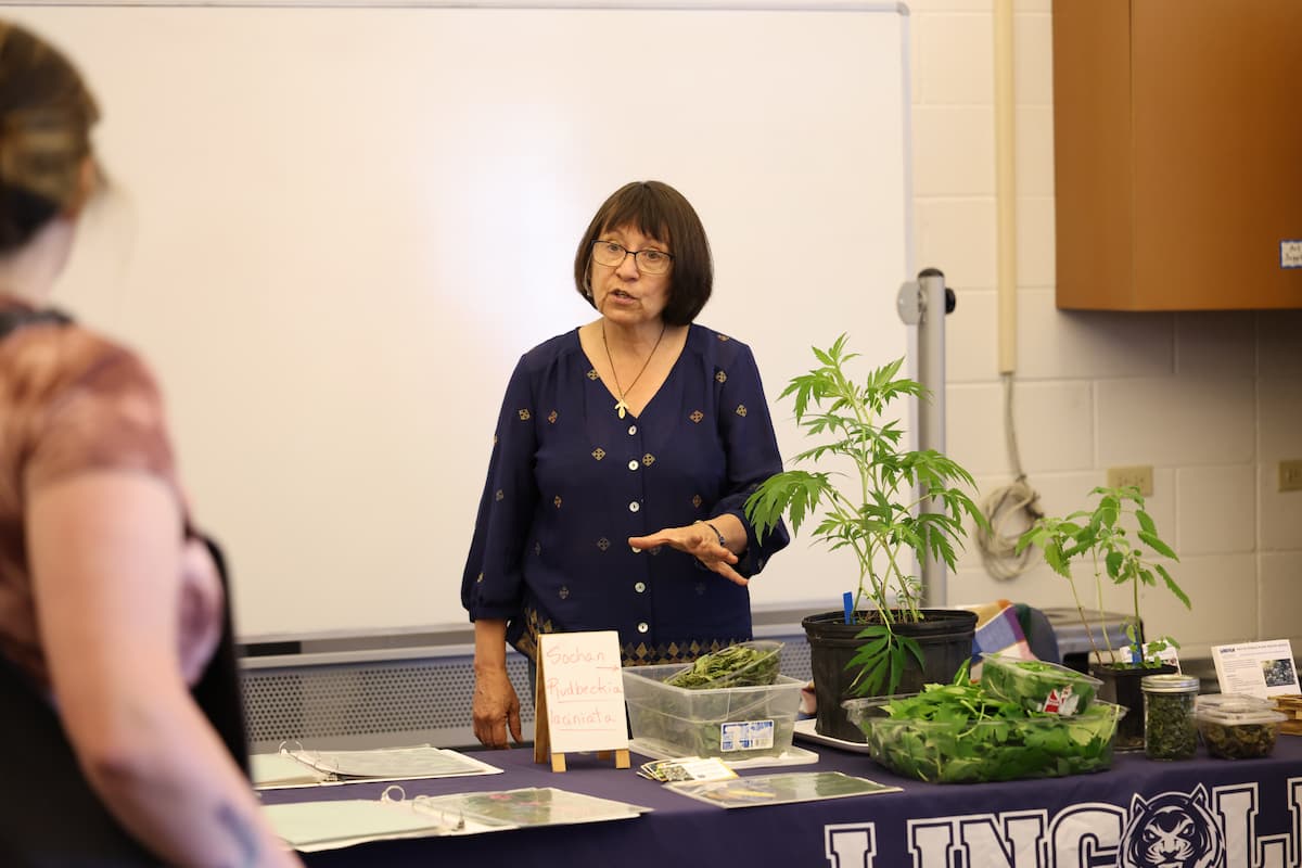 LU’s Nadia Navarrete-Tindall, head of the Native and Specialty Crops Program, talks to attendees about sochan during the Native Edible Plants Symposium on May 23.