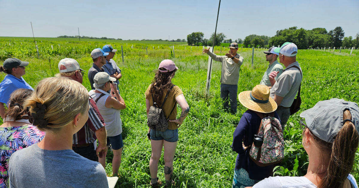 A group of people gathered outdoors in a green field, while a person gives a presentation near a wooden fence post.
