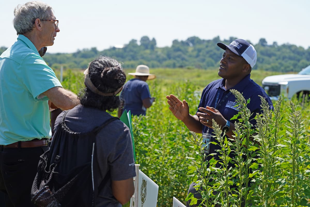 Mark Kiekhaefer speaks with LU research technician Grato Ndunguru beside rows of quinoa plants.