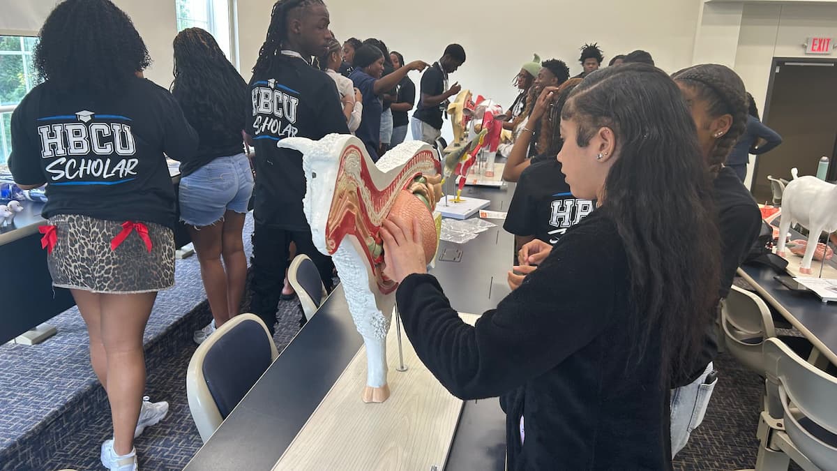 A group of students interact with models of cows from the agriculture school.