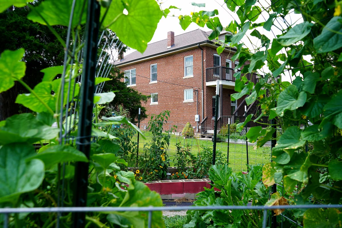 Green vegetable plants fill Common Ground Community Building’s community garden, with the brick building visible in the background.