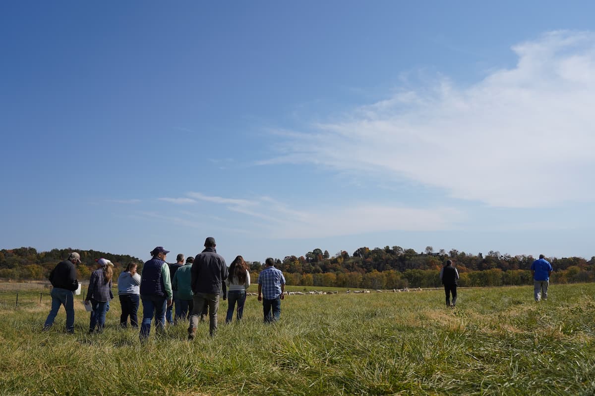 A group of people walking through a grassy field under a partly cloudy blue sky.